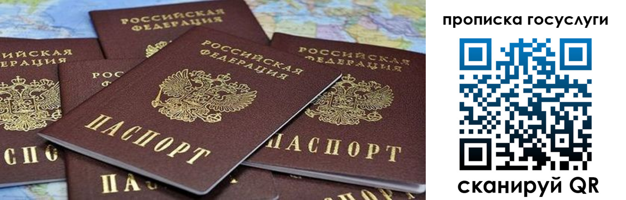 пропишу в квартире в Орловской области